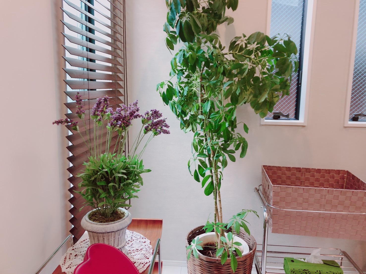 s__5775407.jpg